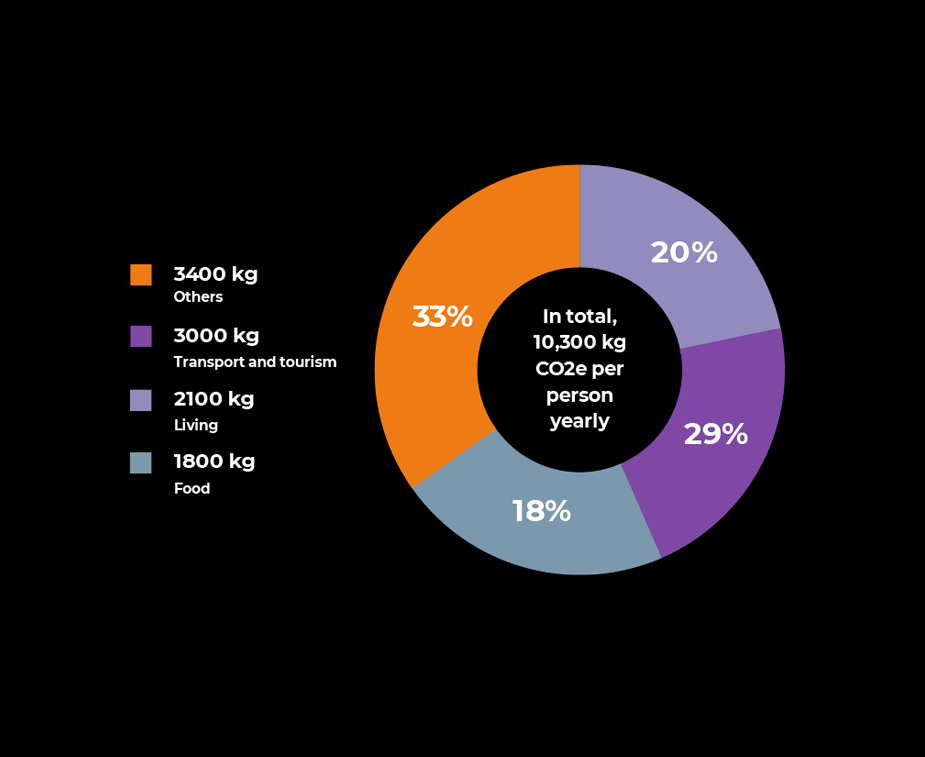 Committed to sustainability, our fireworks company aims to minimize CO2 footprint.